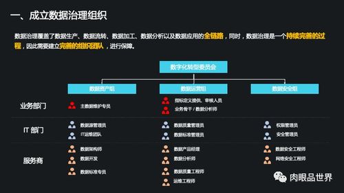 集團(tuán)數(shù)據(jù)管控與數(shù)據(jù)治理解決方案 打造高效、可信的數(shù)據(jù)處理服務(wù)